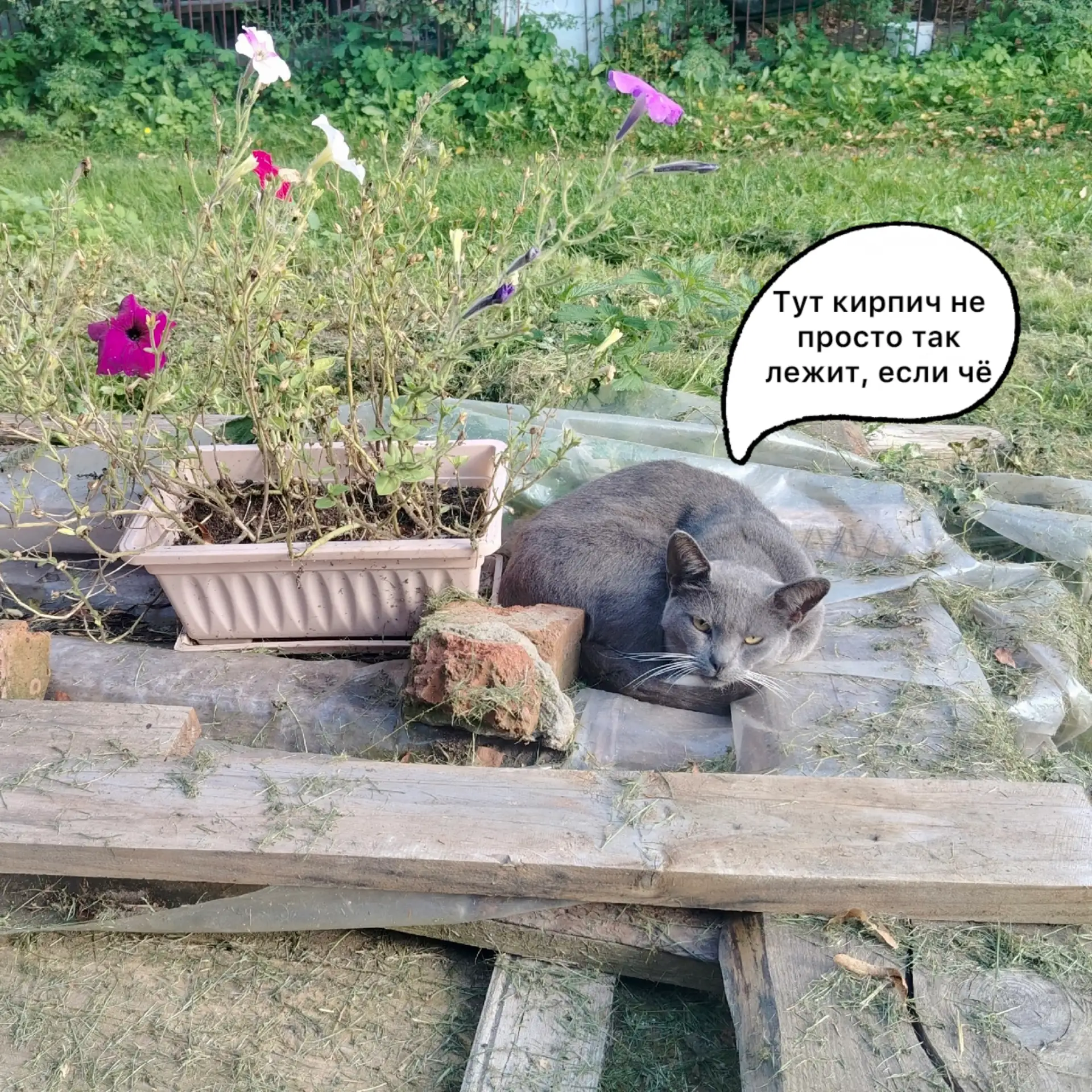 Когда ты не очень дружелюбный