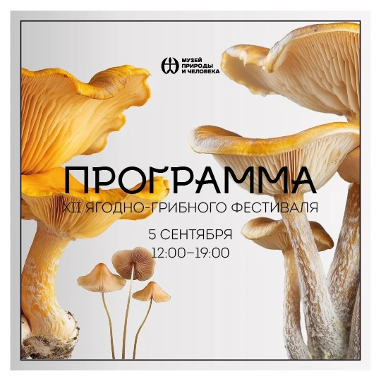 🍄🫐 В Ханты-Мансийске пройдёт 12 Ягодно-грибной фестиваль!