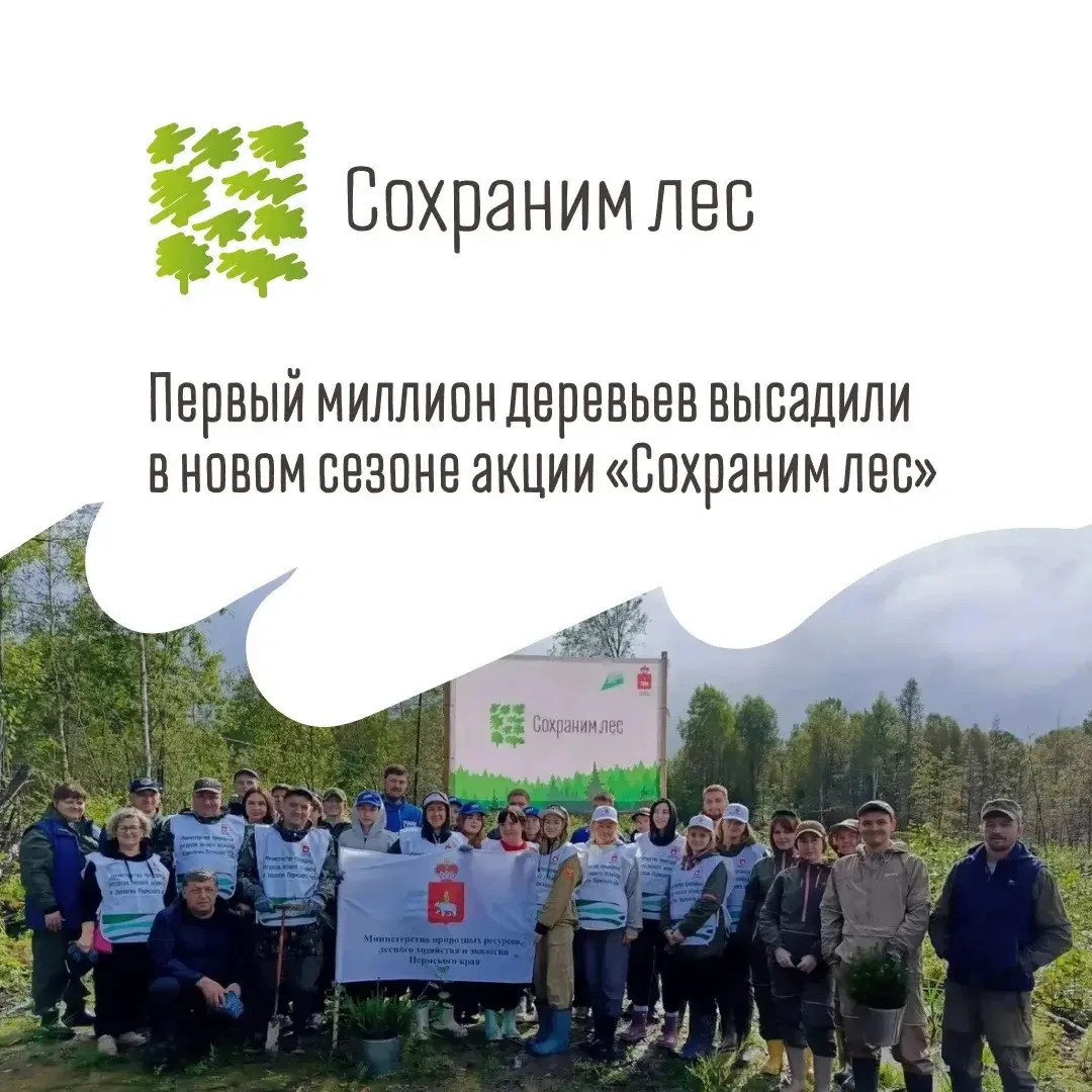 Миллион деревьев высадили в первые дни восьмого сезона всероссийской акции «Сохраним лес»