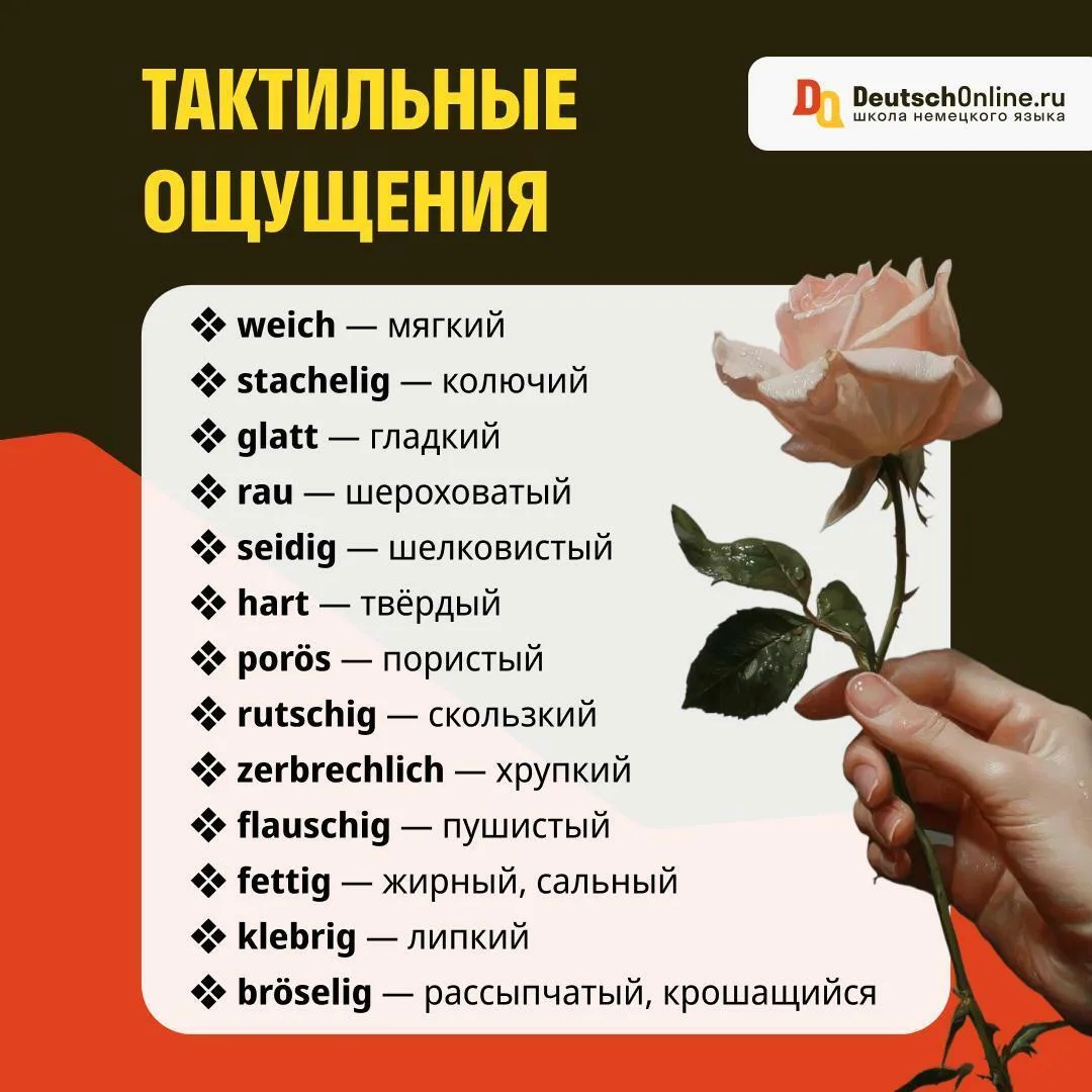 ТРОГАЕМ
