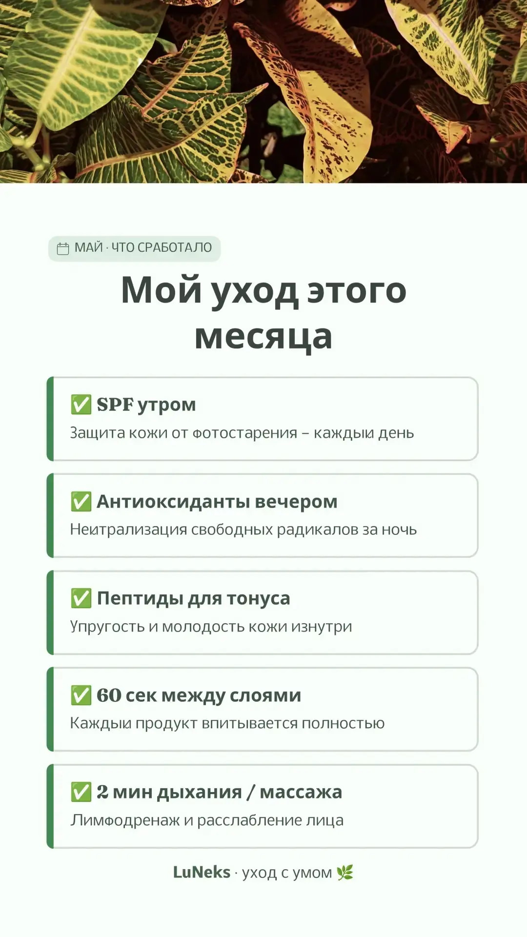💬  Что реально сработало для овала? 📝✨