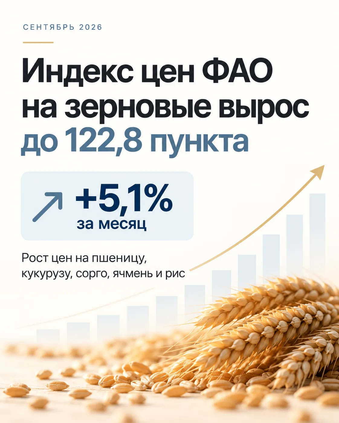 Мировые цены на зерновые заметно выросли в сентябре