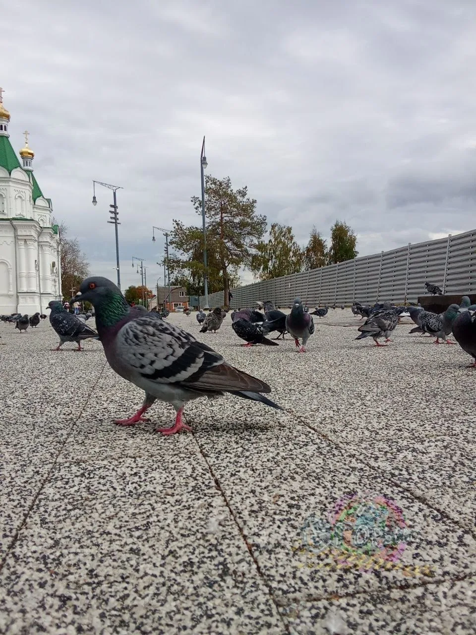Доброе утро...