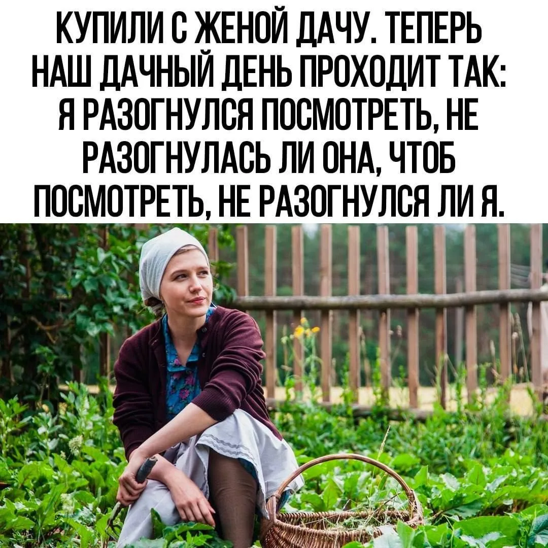 Вот и начался дачный сезон!😀
