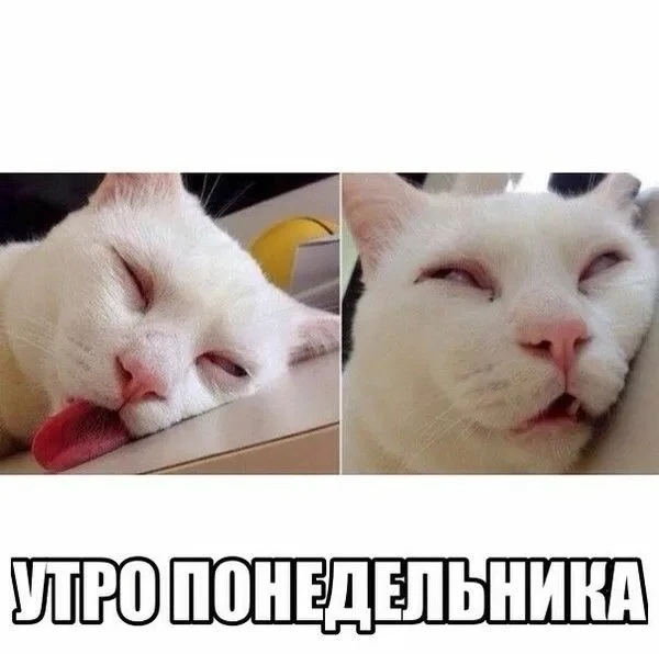 📍 Барнаул