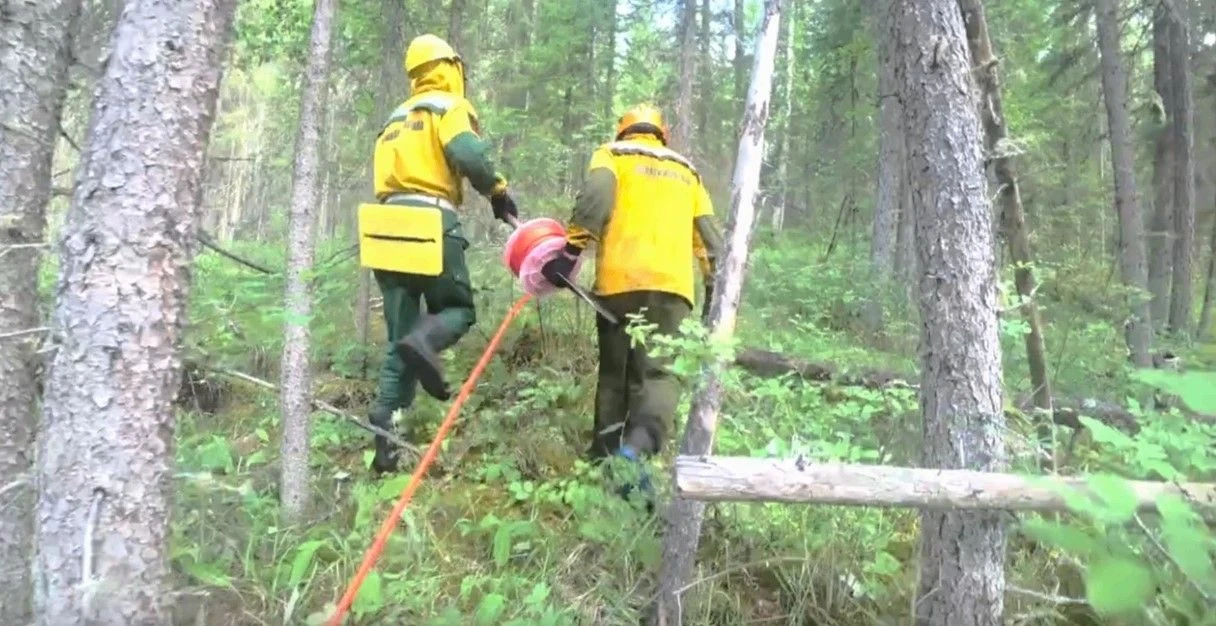 ⚡️В Красноярском крае, где установлен режим ЧС в лесах, ведётся непрерывная борьба с «грозовыми» пож
