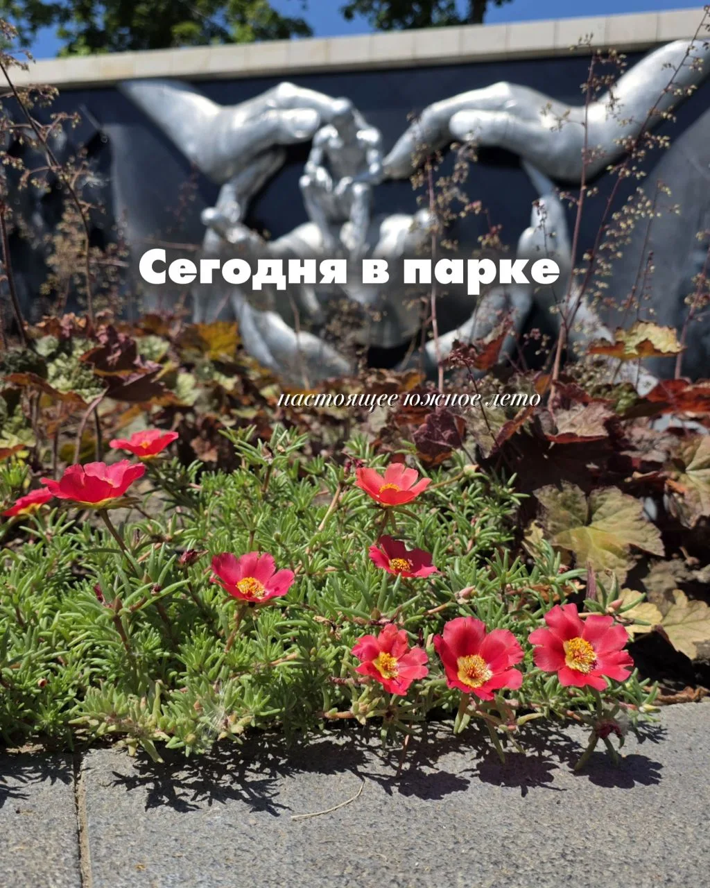 ☀️ Прогулки в парке по-настоящему летние