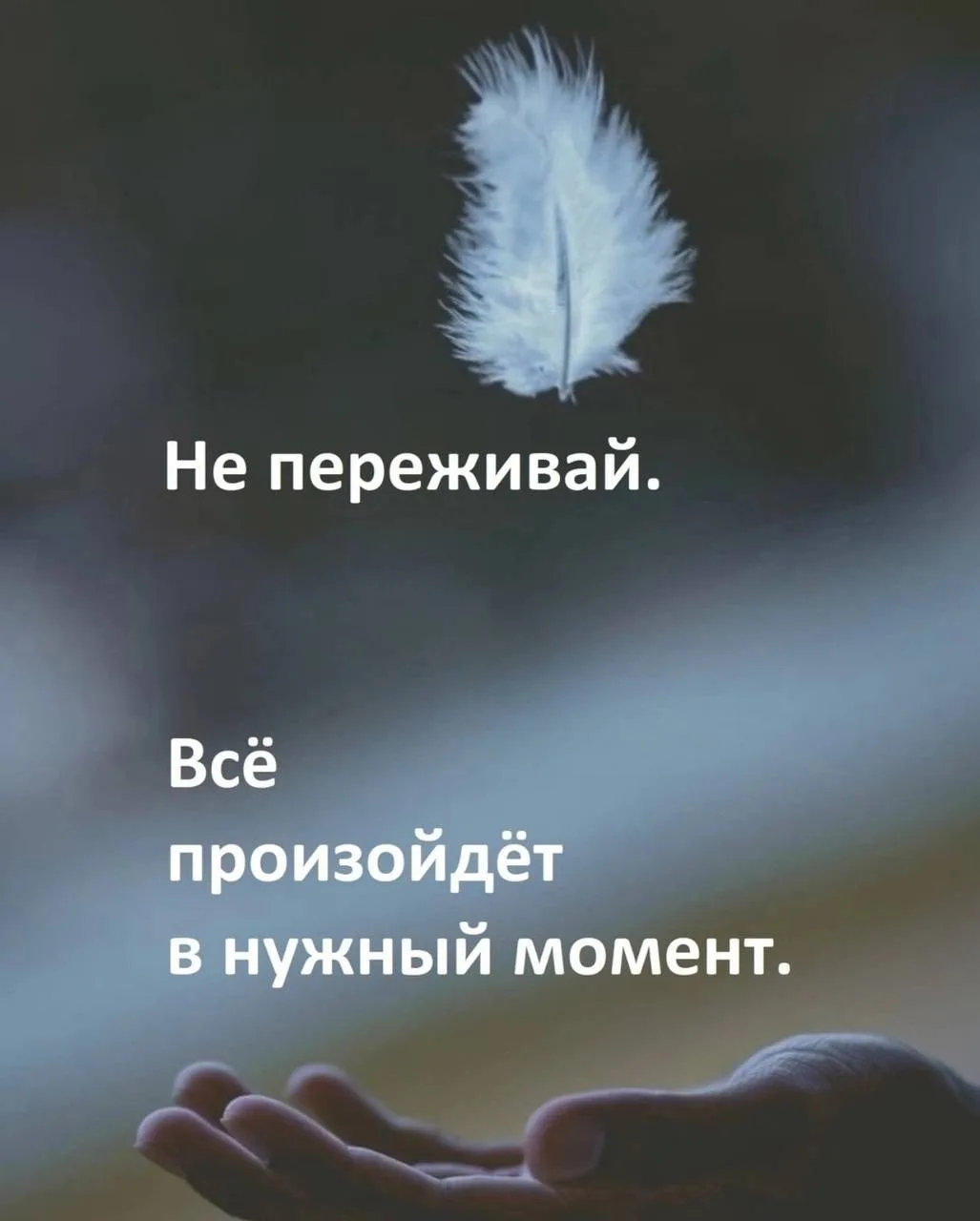 Цитаты в MAX 👉 Подписывайтесь