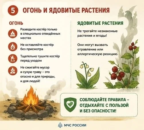 🌳Наслаждаешься природой? Позаботься о себе! 🌞❗️Мы подготовили для вас 6 важных карточек от МЧС Рос