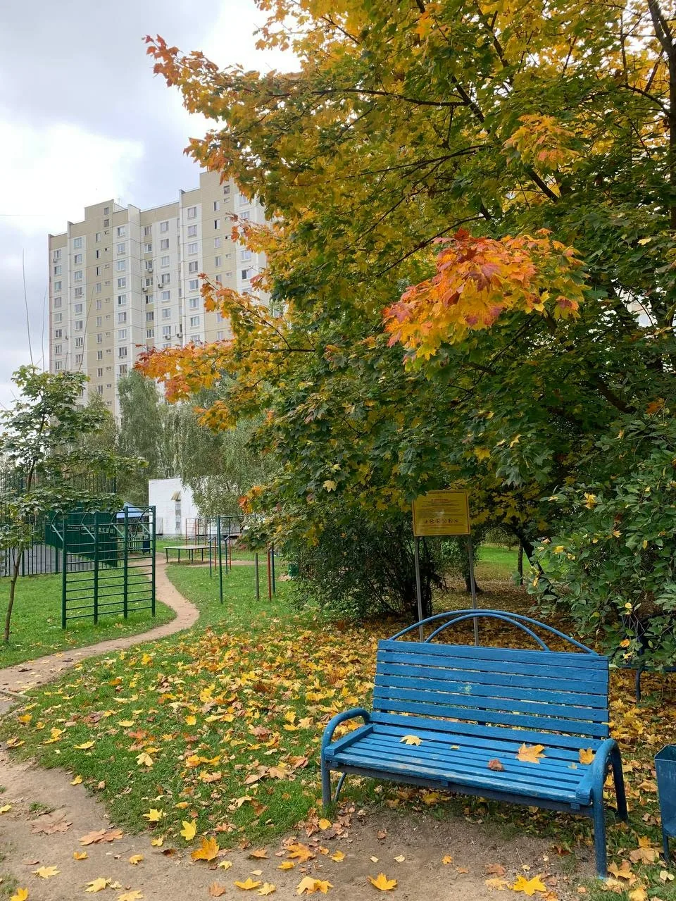 Одинцово вошел в рейтинг самых обеспеченных жителей среди крупных городов