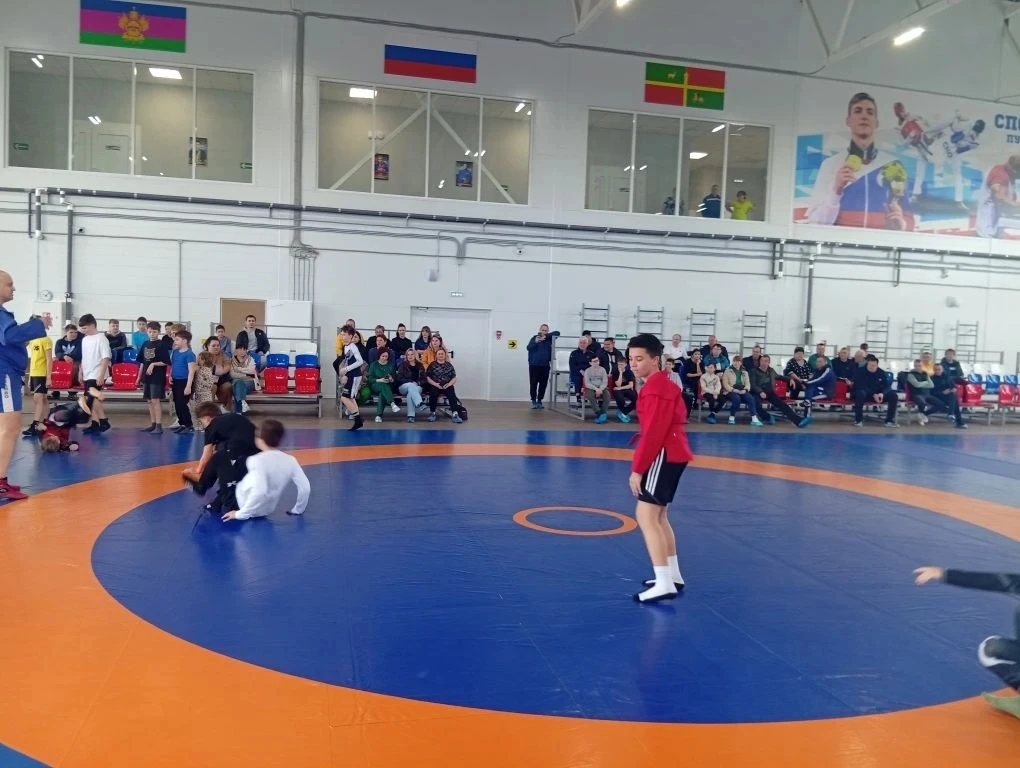 3 апреля 2026 года в центре единоборств «Чемпион» состоялся мастер-класс по самбо для учителей физич