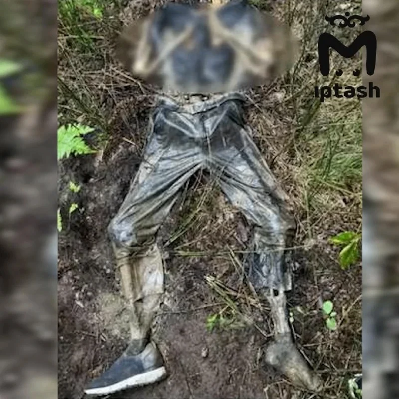 😳 Под Челнами нашли скелет с дырой в черепе и киргизскими деньгами