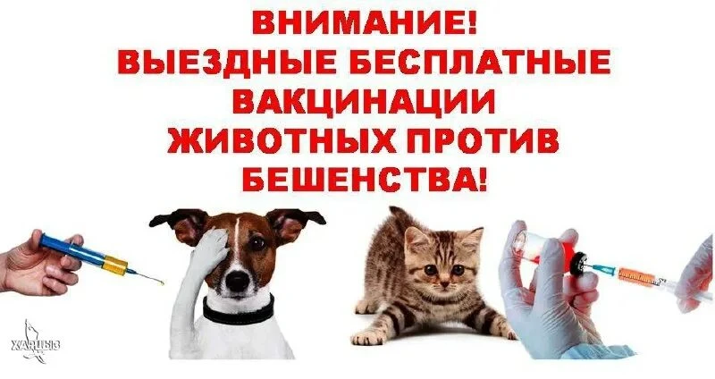 Объявление