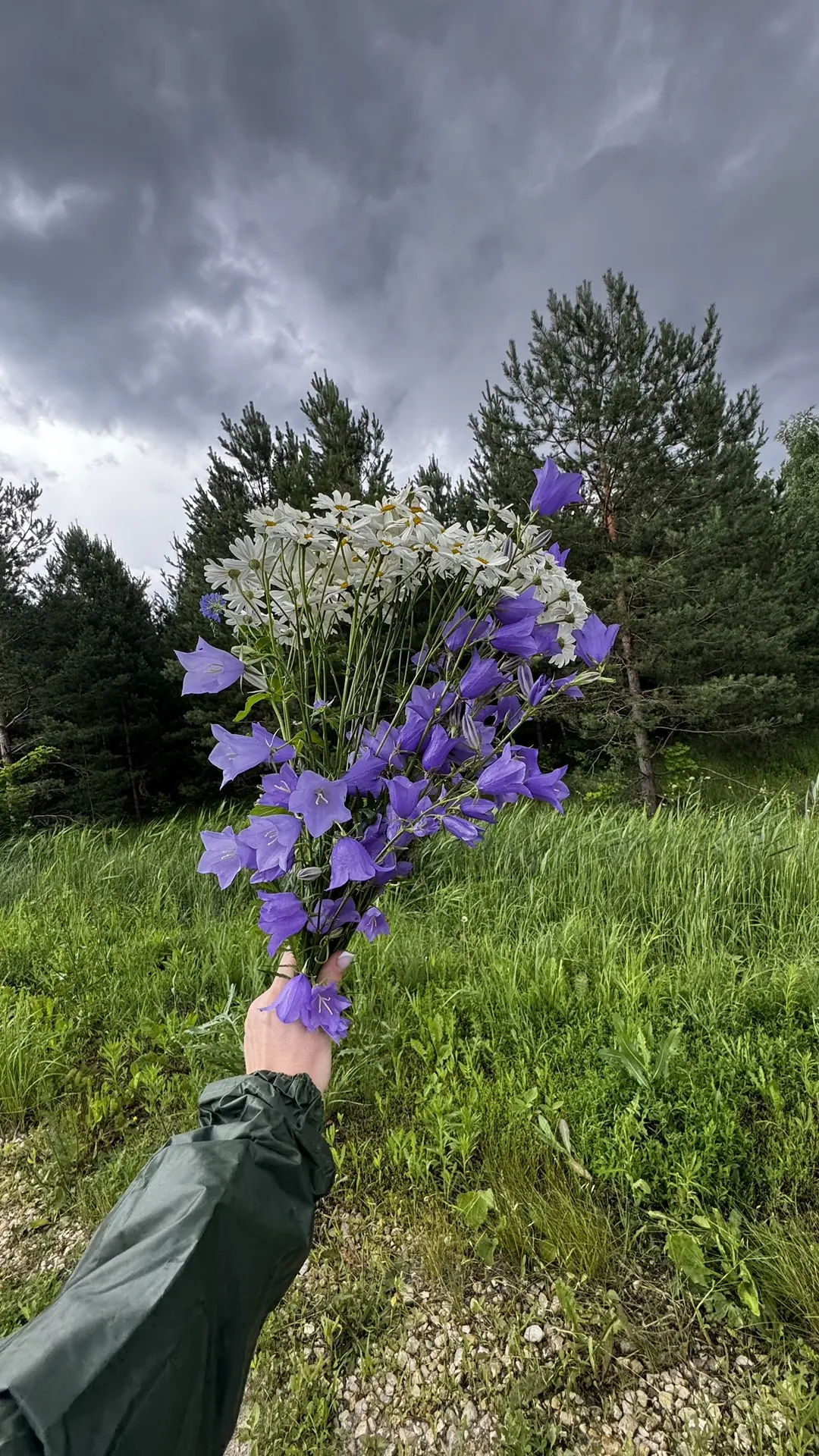 Любимая природа