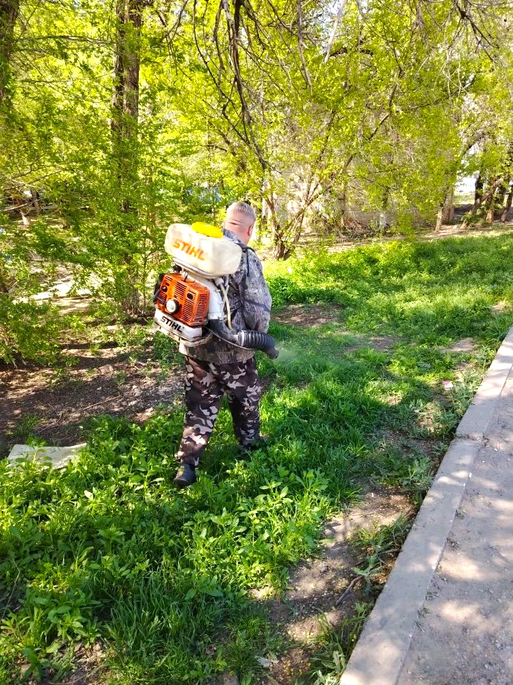 К новости «🌿 Уют начинается с чистого двора!»