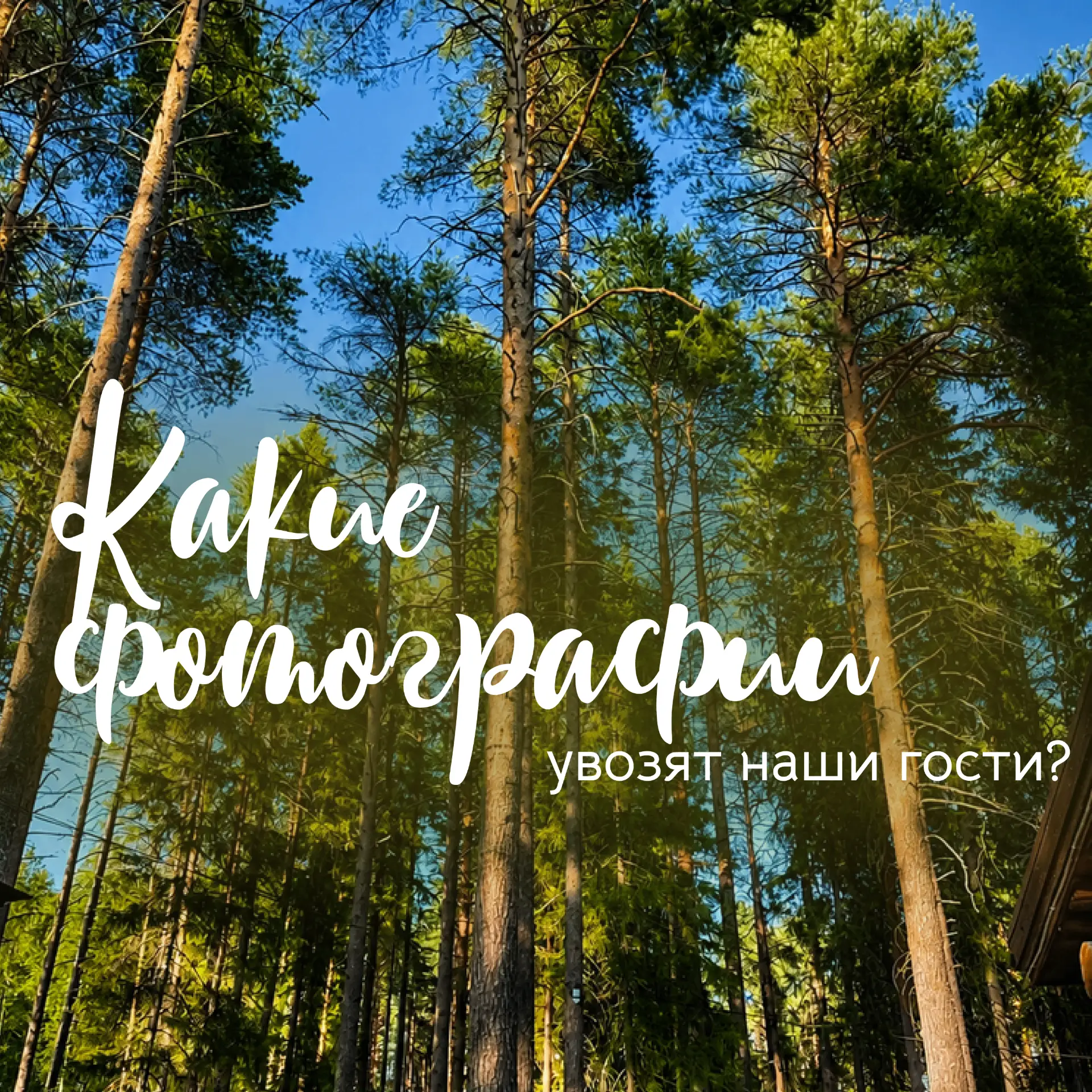 Какие фотографии увозят наши гости 🌿