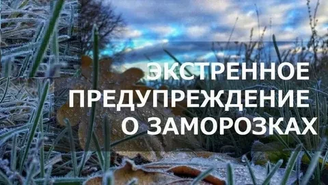 ❗Ночью и утром 30 мая 2026 года местами, на пониженных участках