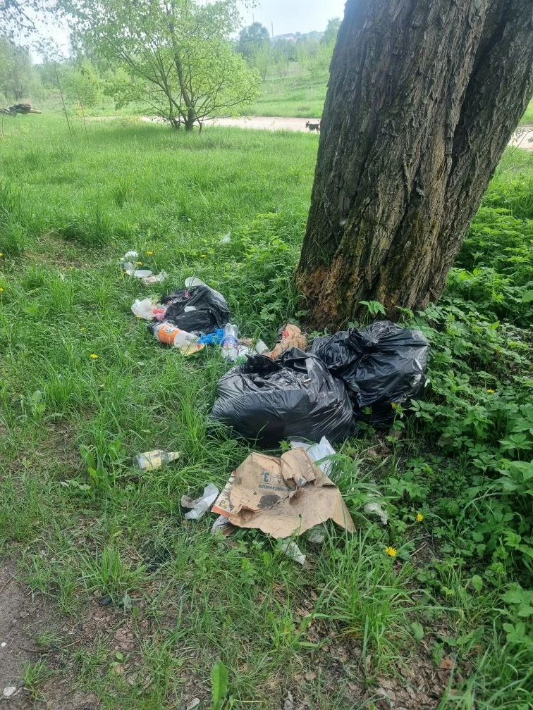 🤬Обращаемся к отдыхающим, оставляющим после себя такую картинку: уходя с пикника, не забудьте хрюкну