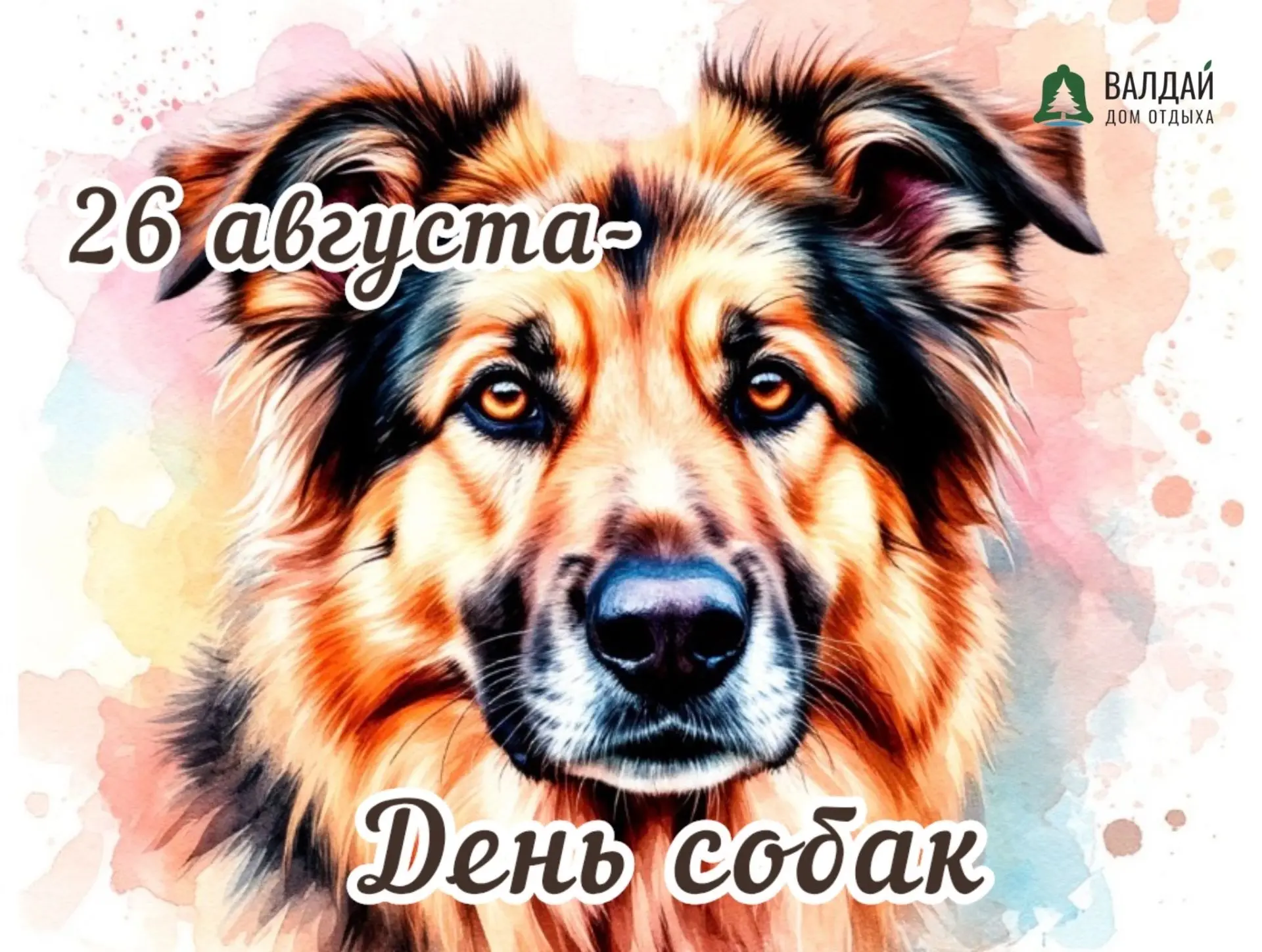 Уважаемые коллеги!