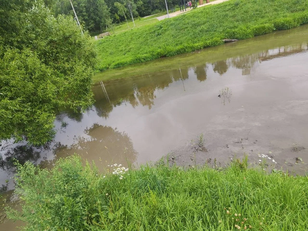 Парк Природный в Новых Ватутинках под угорозой.

Вода из очистных сооружений течёт к Десне и вид у н