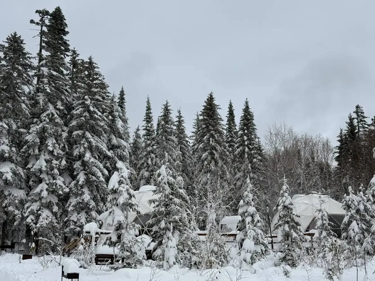 ❄️ Думаете, эти кадры сняты где-нибудь в разгар зимы? А вот и нет — снежок засыпал Хаба...