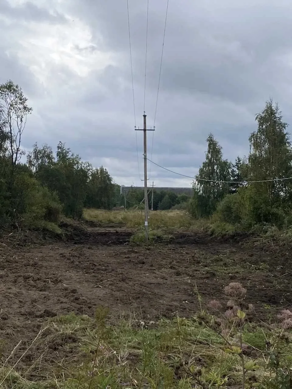 В Вытегре приступили к расчистке просек воздушных линий электропередачи