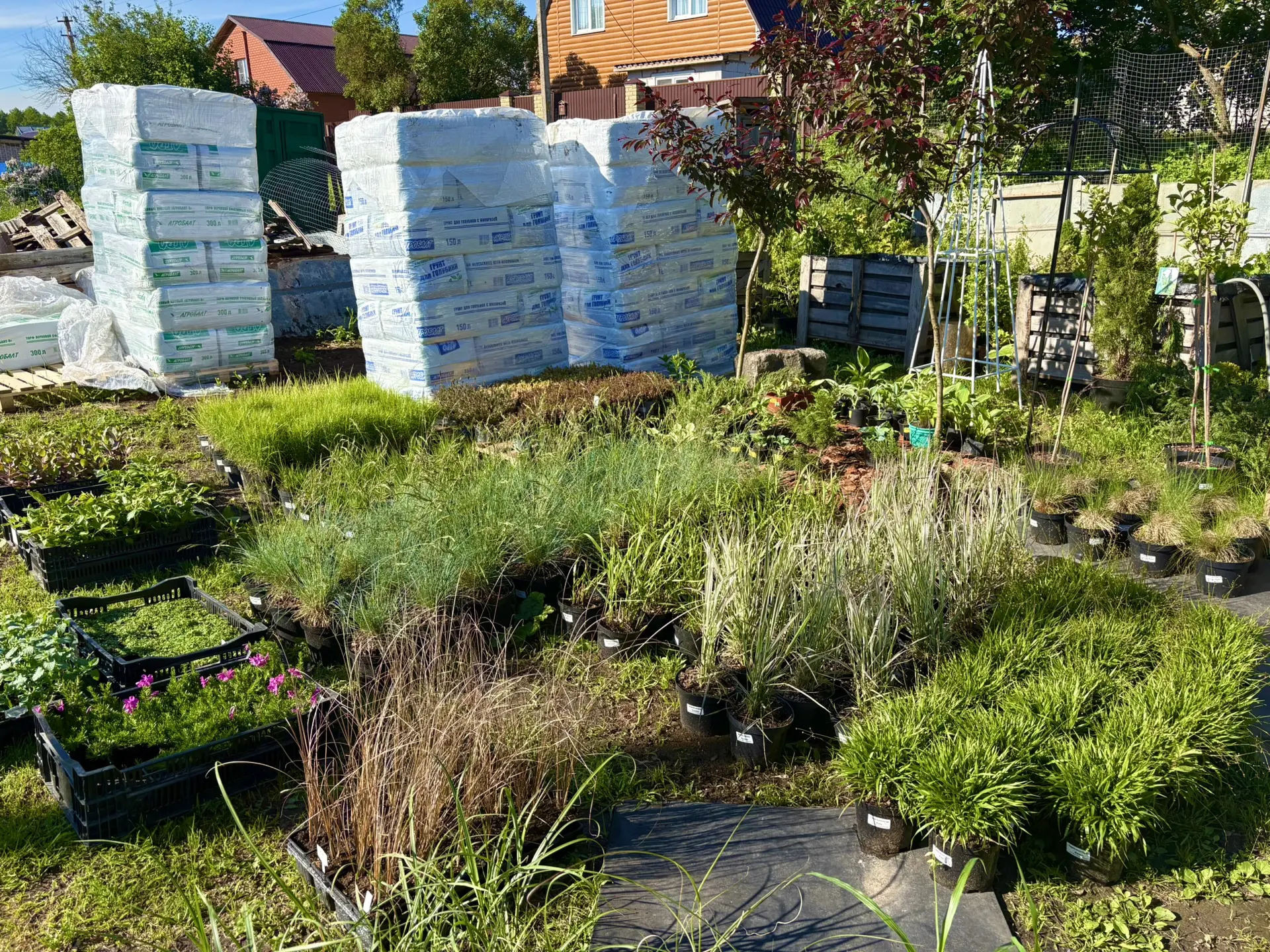 🌾Начинаем выдачу злаков и др растений из этой закупки 🌾