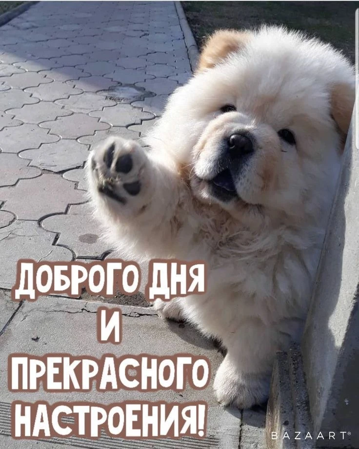 #хорошегодня