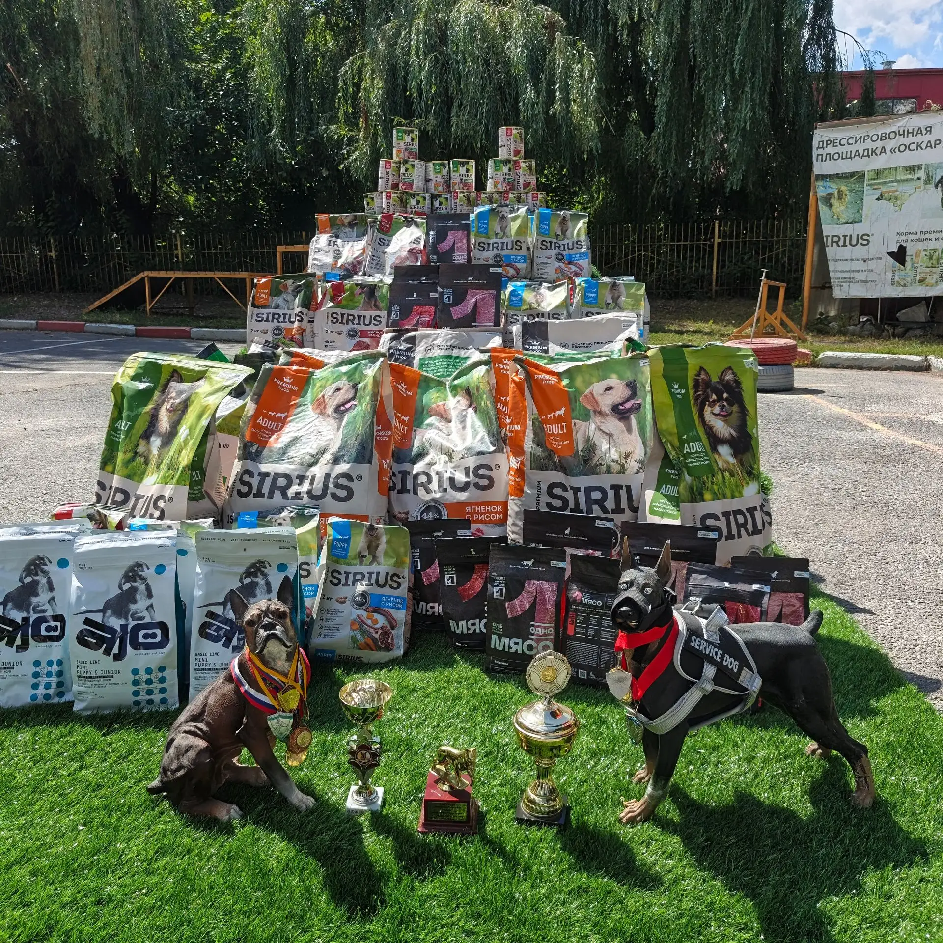 🐾 Продолжается подготовка к выставке собак в Новочеркасске — она пройдёт уже 15 августа! 🎉  

И у 
