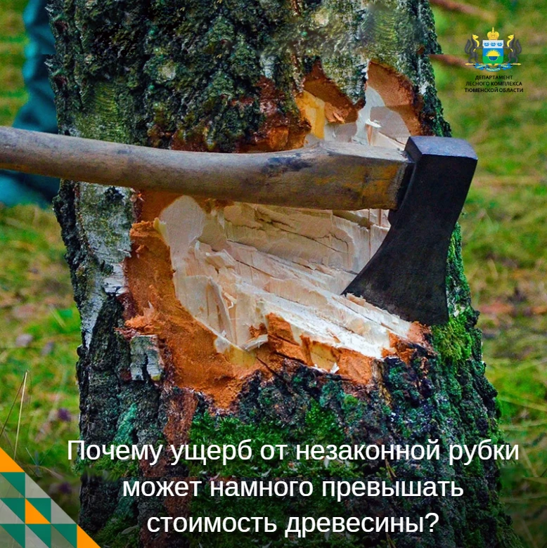 🟢 Рубрика: ОБРАТНАЯ СВЯЗЬ