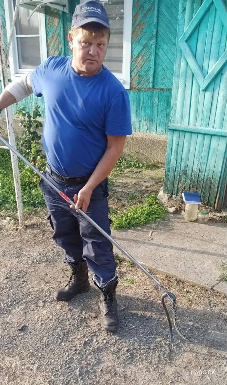🐍 «Змеиный десант»: ставропольские спасатели дважды за сутки эвакуировали ужей из жилых зон

В горо