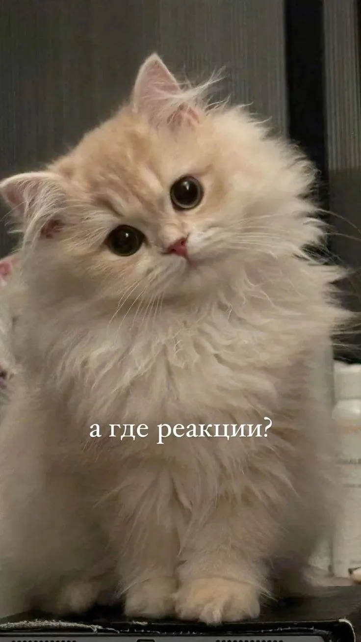😉