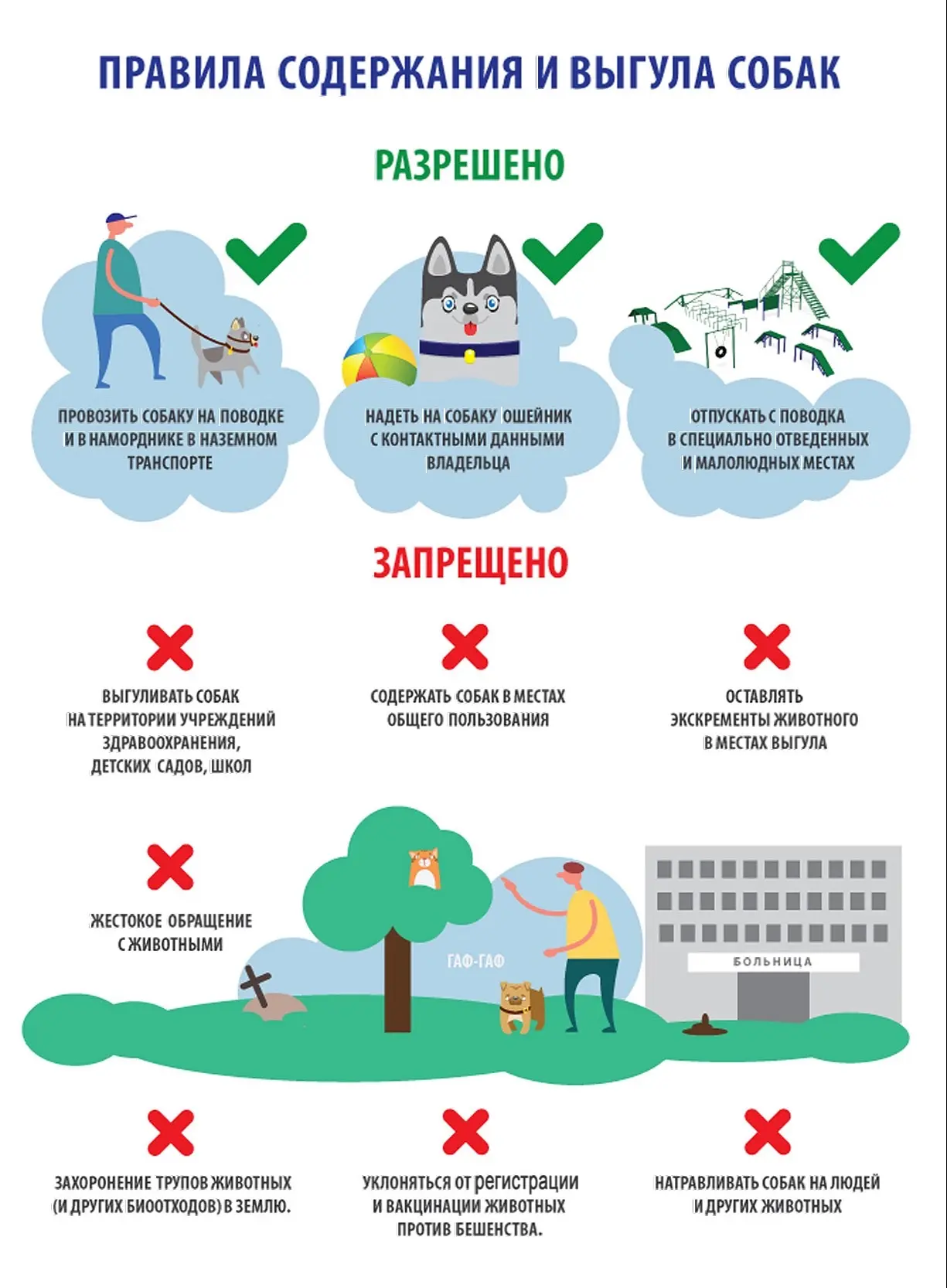 🐕 Правила содержания и выгула животных