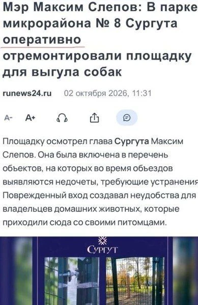 Я что-то не понимаю: почему собаки живут лучше, чем люди? А когда на наши просьбы будут...