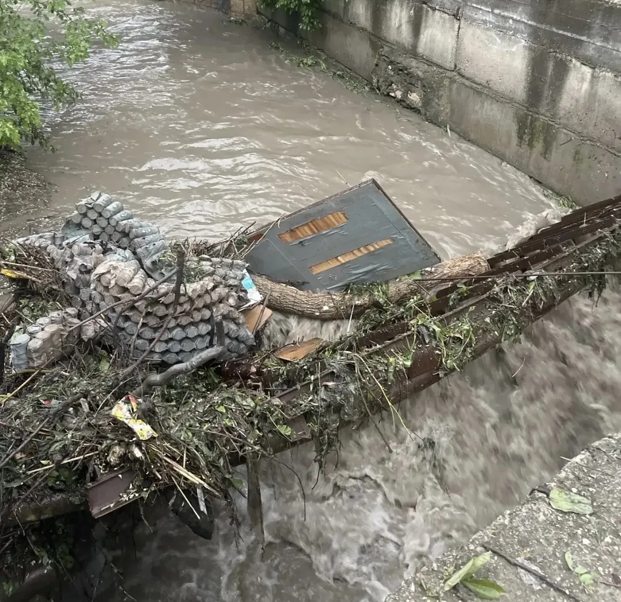 🙏 ГОВОРИМ СПАСИБО