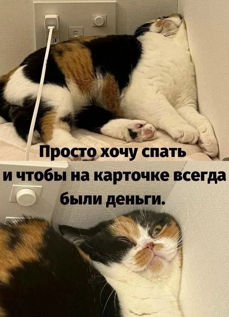 Как говорится, имею возможность купить козу, но не имею желания... 😁😁