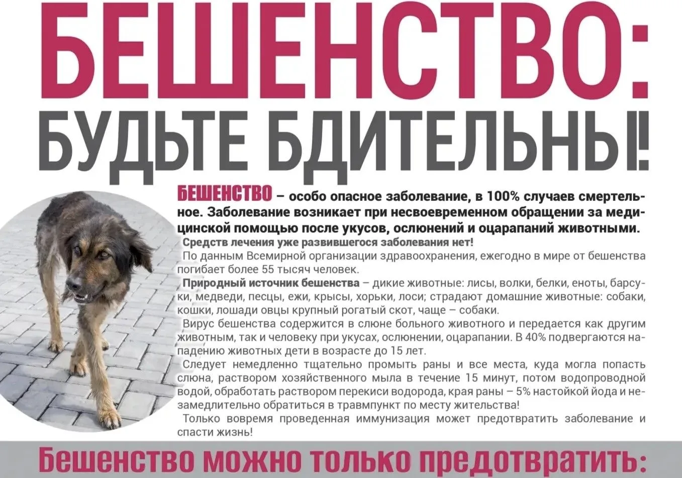 Осторожно - бешенство!