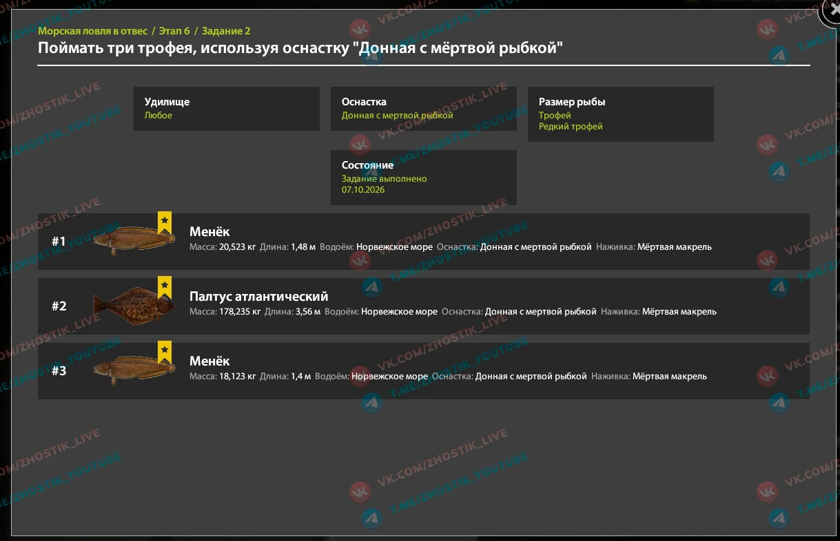 #норвежское@channel_zhostik