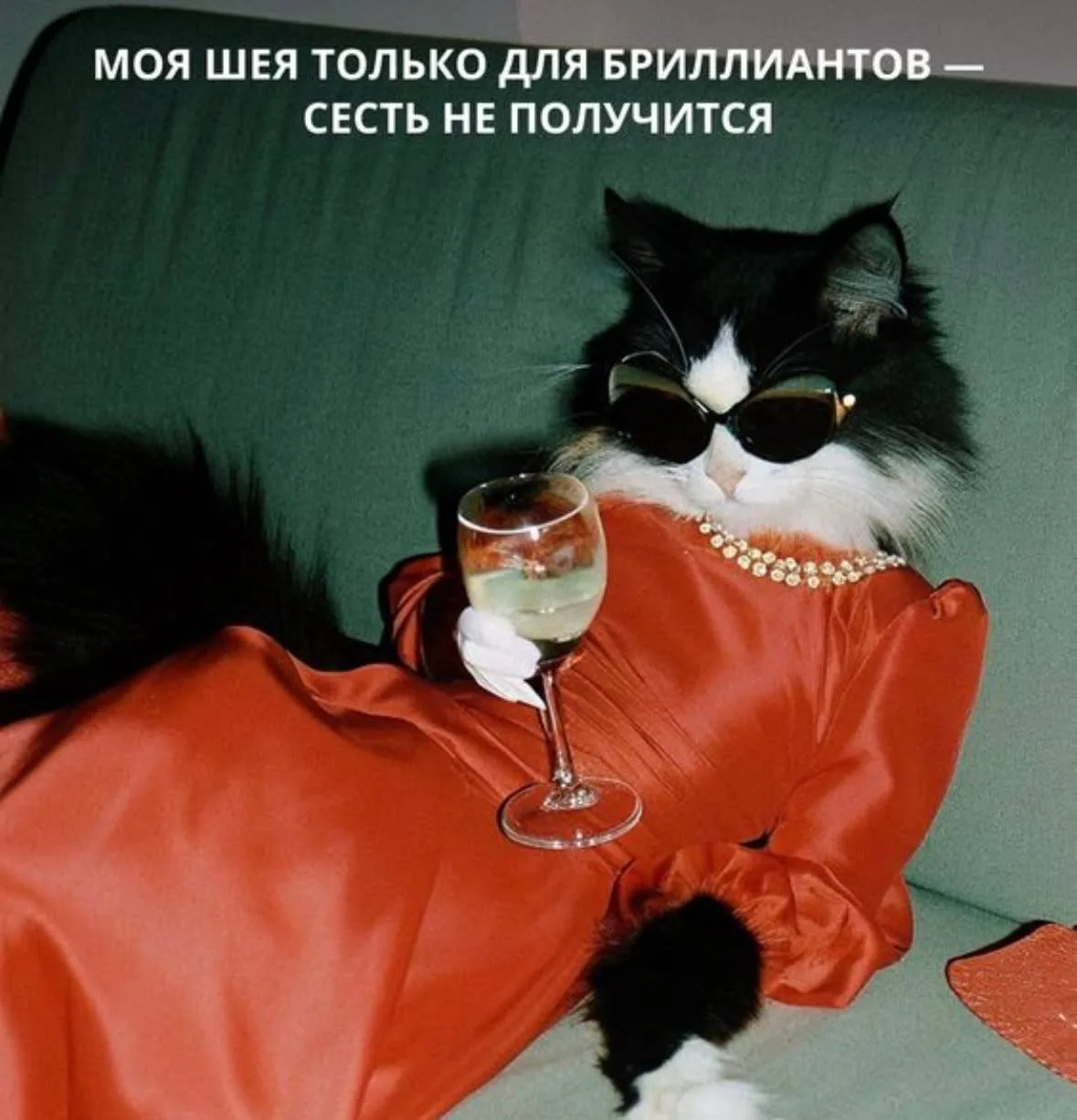 Мое желание - жить, как эта кошка 😁

Давайте обсудим, что для вас значит быть меркантильной?