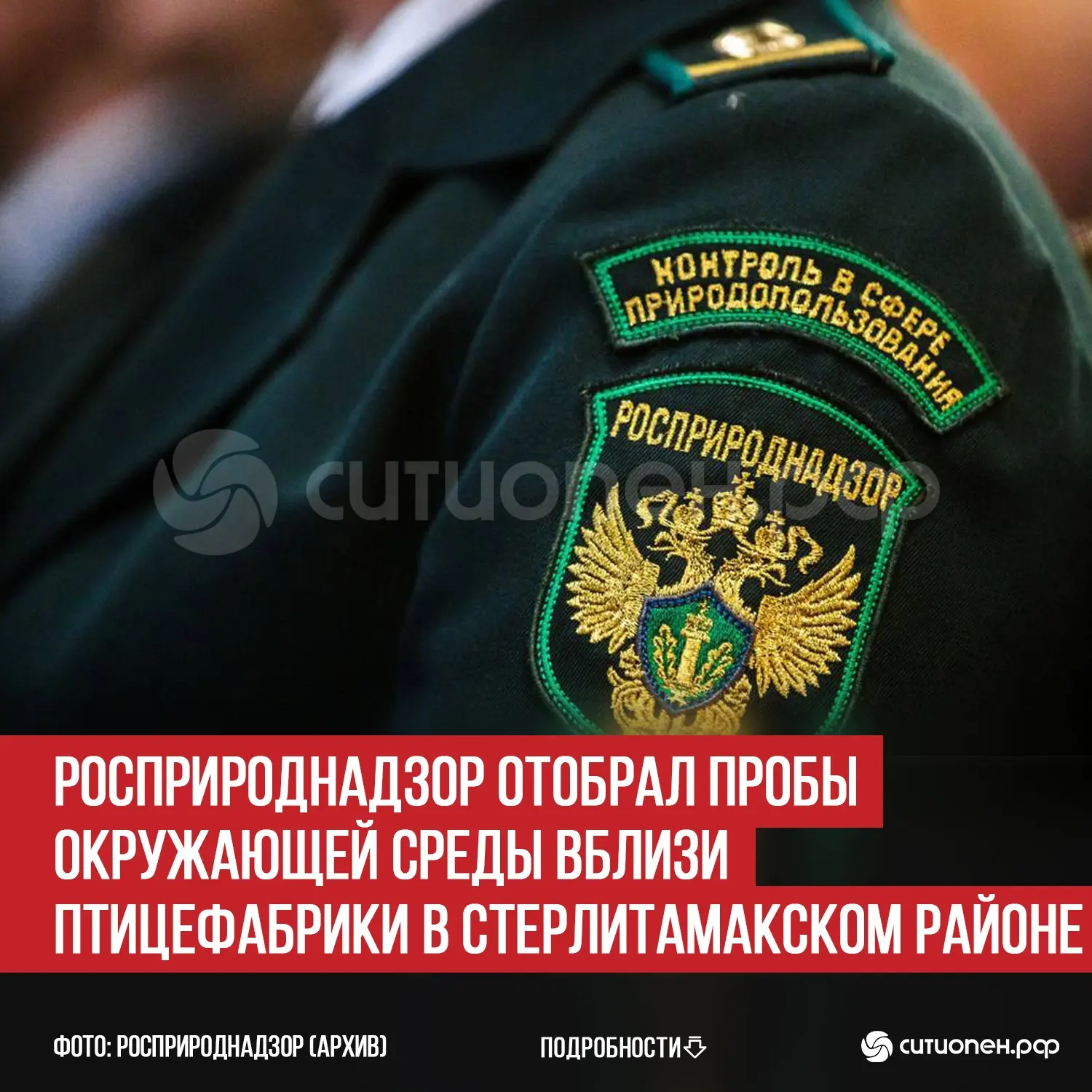 Росприроднадзор отобрал пробы окружающей среды вблизи птицефабрики в Стерлитамакском районе
 
В Стер