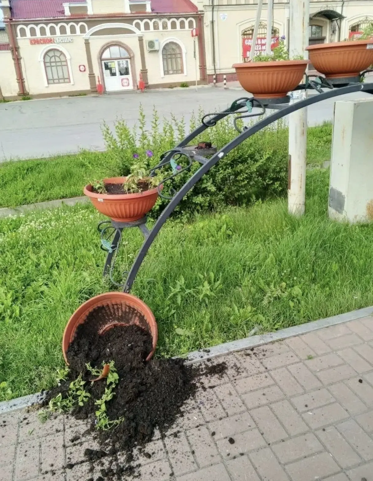 Прошедшей ночью, вандалы, а иначе этих людей не назовешь "славно погуляли". Как итог разбиты горшки 