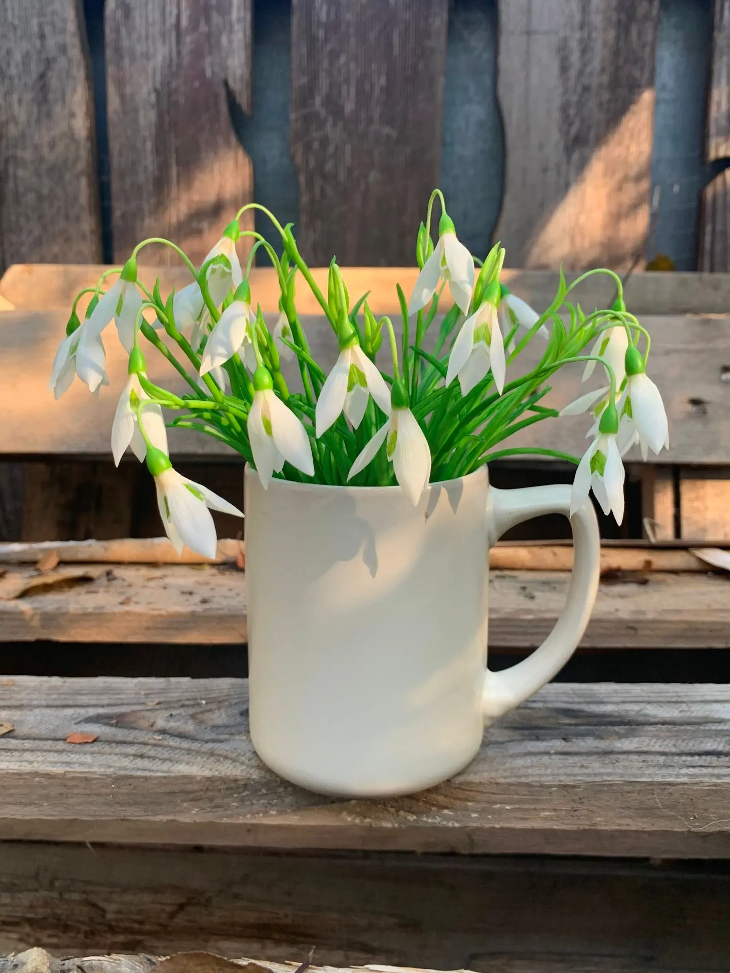 🌼 Подснежники Real Flower: вечная весна от ООО «ФРКРД» 🌼Помните трогательный момент из сказки С. Я