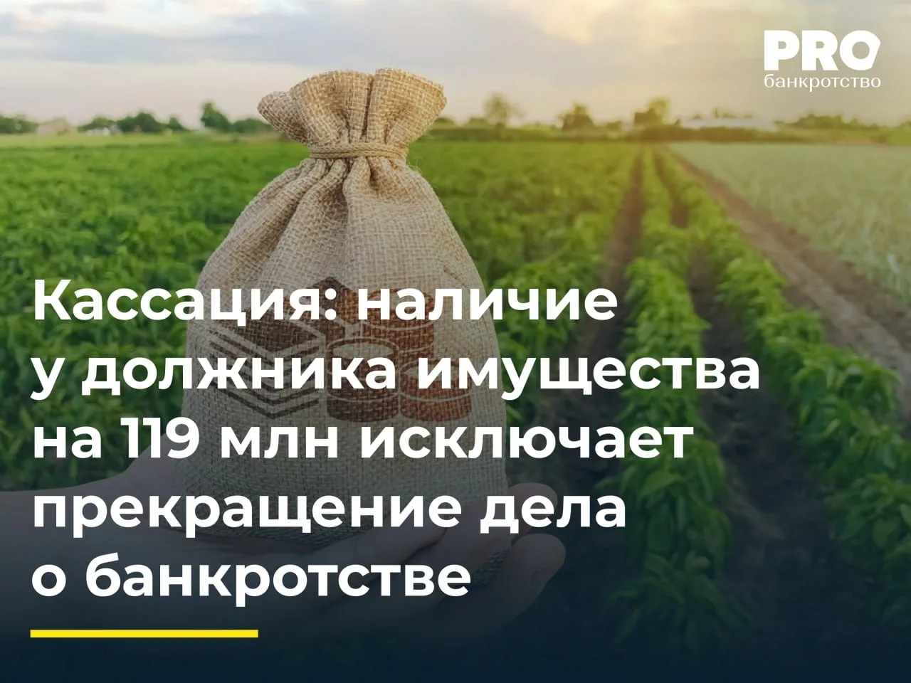 Кассация: наличие у должника имущества на 119 млн исключает прекращение дела о банкротстве