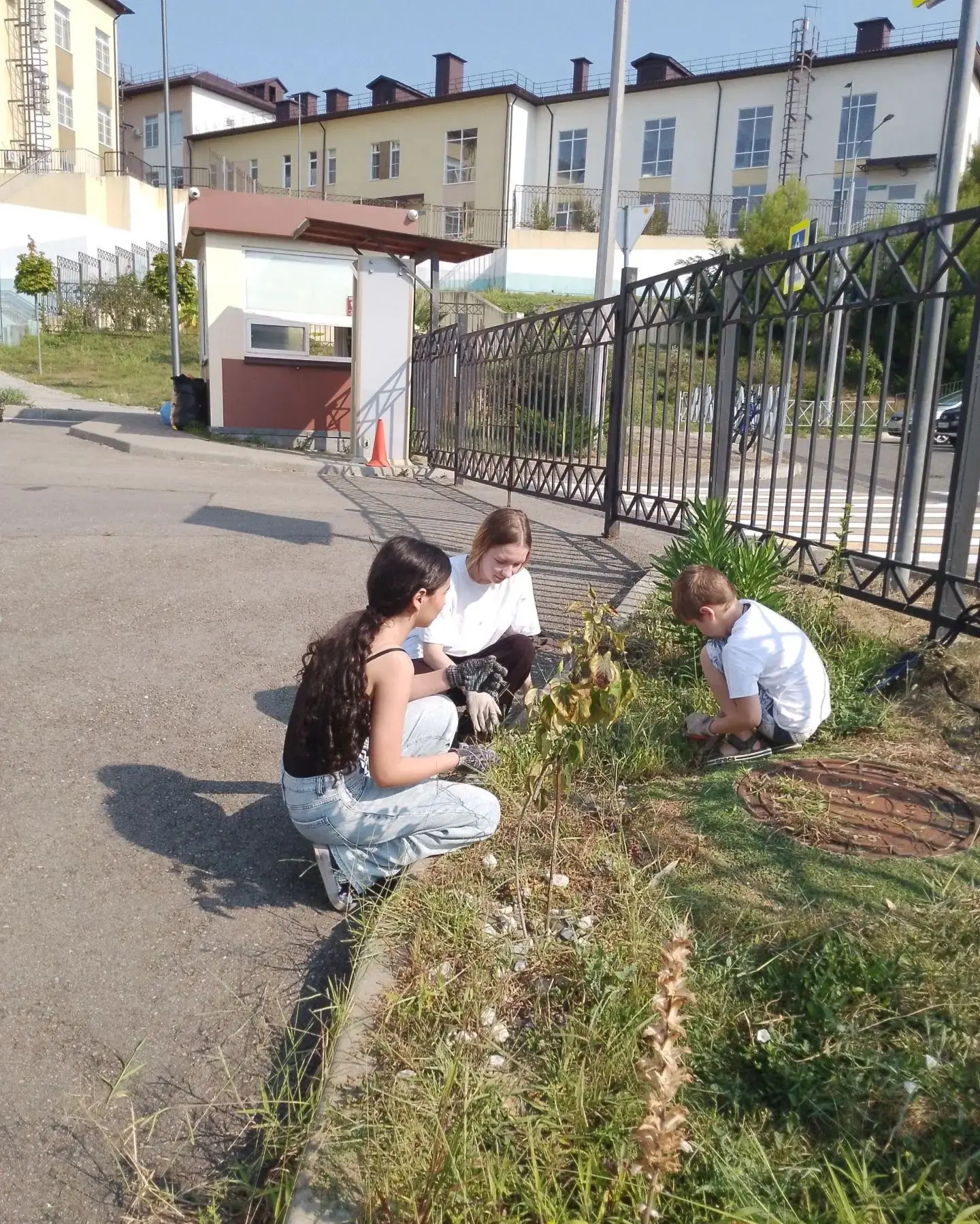 🌿Экологическая акция «Чистый двор» в нашей школе!