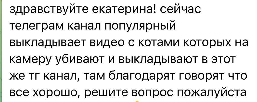 Почему вы не обращаетесь в службу поддержки Telegram?