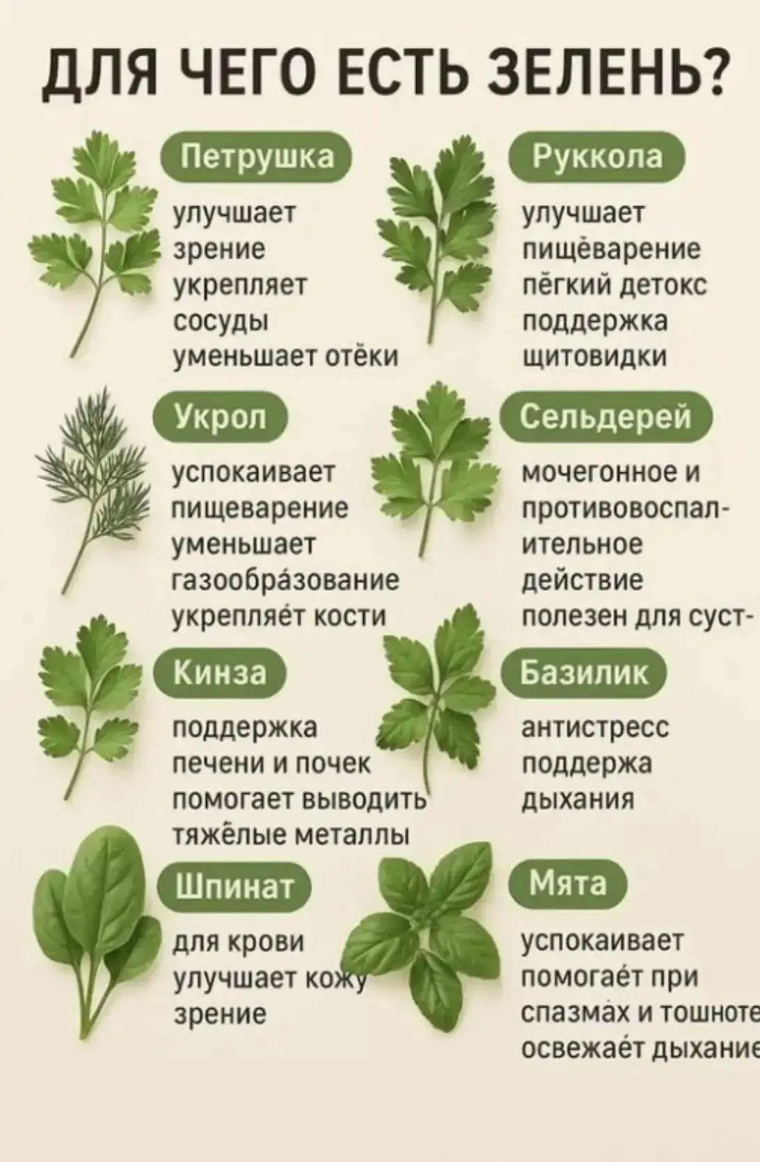 ПАМЯТКА

🥬 Польза свежей зелени: витаминная поддержка, вкус и натуральная ценность каждый день

Ска