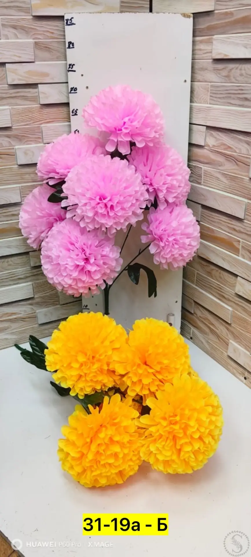 https://vk.com/photo-184814919_493004833