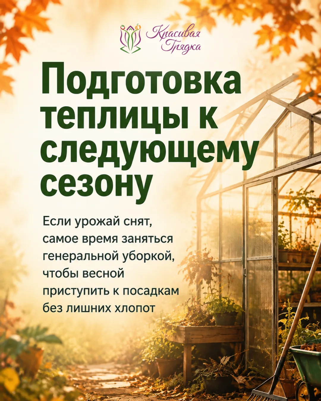 🌱 Подготовка теплицы к следующему сезону