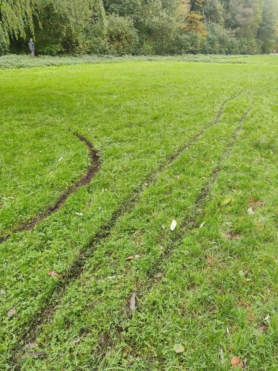 🌱В Удельном парке испортили газон