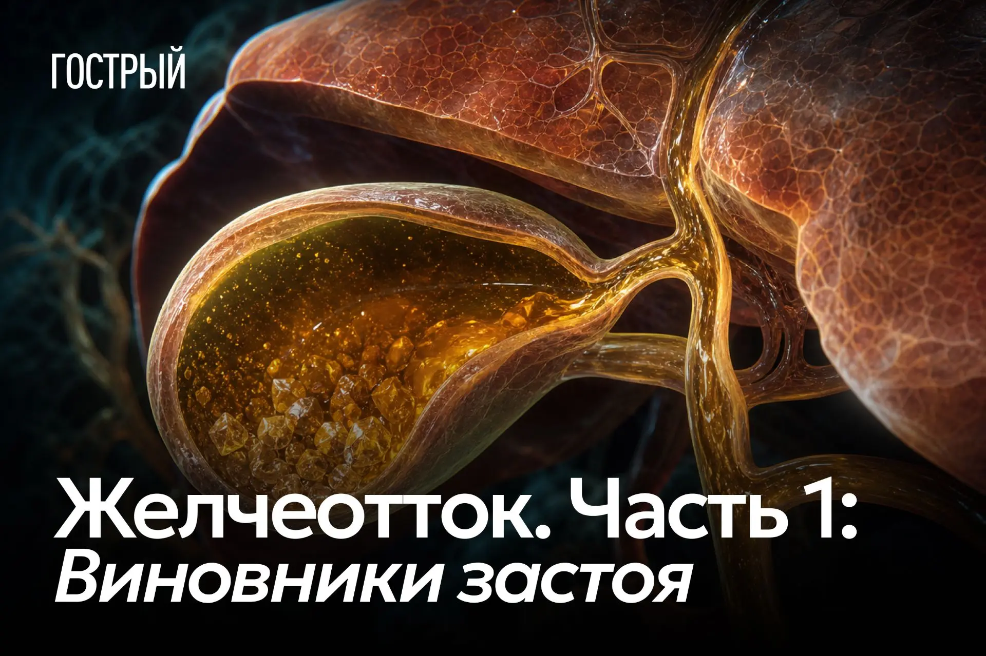 Когда речь заходит о застое желчи, большинство ищет виноватого в самом желчном пузыре. Но на практик